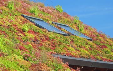 Palmers Flat living roof systems