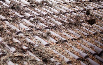 Palmers Flat roof cleaning companies