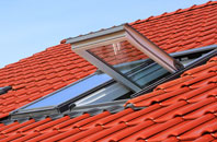 Palmers Flat roof window